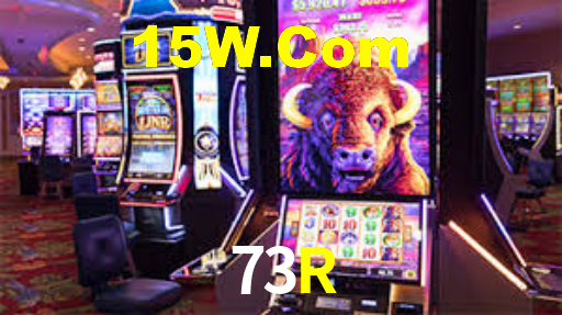 73R